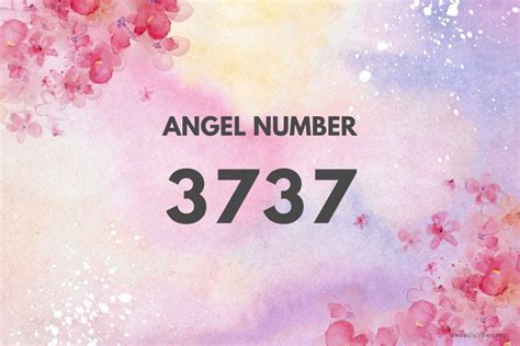 3737 angel number|737 sacred scribes.